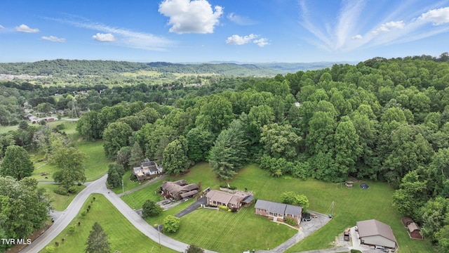 5009 Surrey Dr, Kingsport, TN 37664 - aerial overview of property's location with a forest