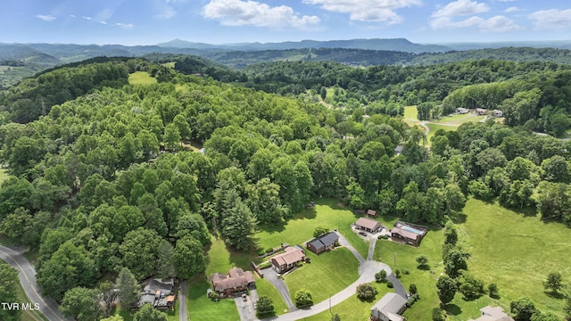 5009 Surrey Dr, Kingsport, TN 37664 - aerial view of property's location featuring a forest and a mountainous background