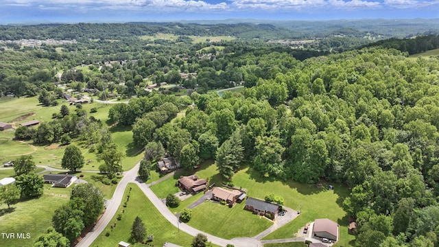 5009 Surrey Dr, Kingsport, TN 37664 - bird's eye view of a heavily wooded area