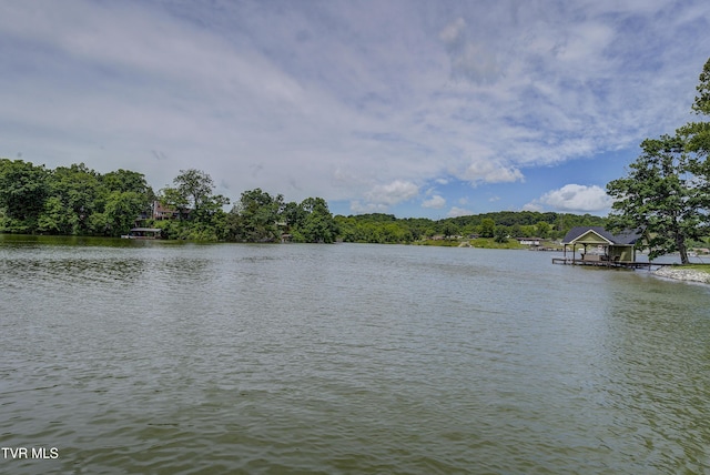 259 Lake Vista Cir, Piney Flats, TN 37686 - photo 15