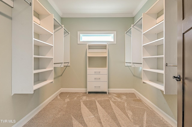 1030 Savin Fls, Gray, TN 37615 - walk in closet featuring carpet flooring