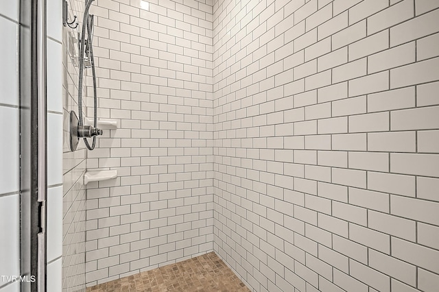 1030 Savin Fls, Gray, TN 37615 - full bath featuring a stall shower