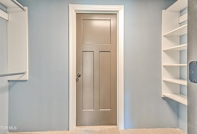 1030 Savin Fls, Gray, TN 37615 - view of walk in closet