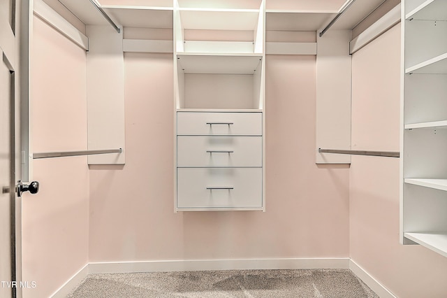 1030 Savin Fls, Gray, TN 37615 - spacious closet featuring carpet flooring