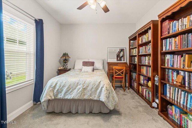 3321 Cottage Green Ct, Kingsport, TN 37664 - carpeted bedroom featuring multiple windows, baseboards, and a ceiling fan
