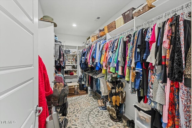 3321 Cottage Green Ct, Kingsport, TN 37664 - view of spacious closet