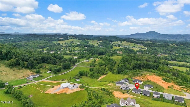 3321 Cottage Green Ct, Kingsport, TN 37664 - bird's eye view of a mountainous background