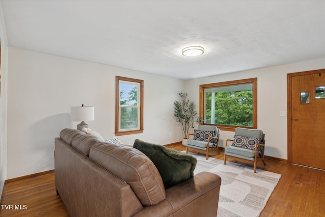 204 Maple Dr, Jonesborough, TN 37659 - living room with baseboards and wood finished floors