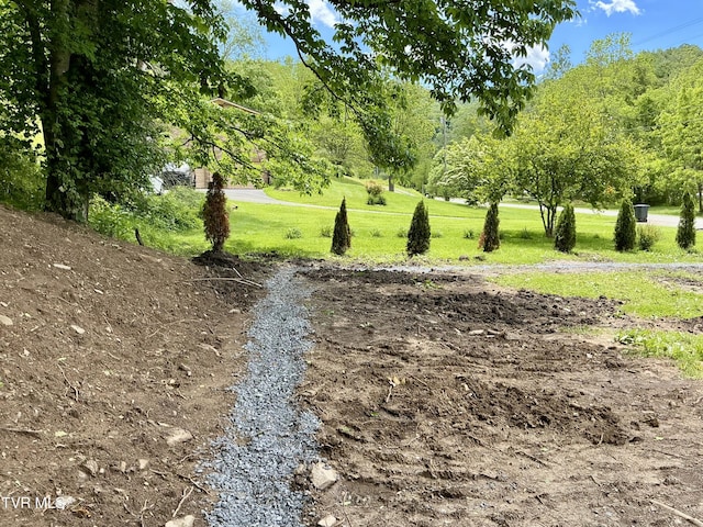 153 Hampton Creek Rd, Roan Mountain, TN 37687 - view of surrounding community
