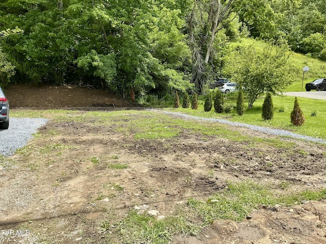153 Hampton Creek Rd, Roan Mountain, TN 37687 - view of yard