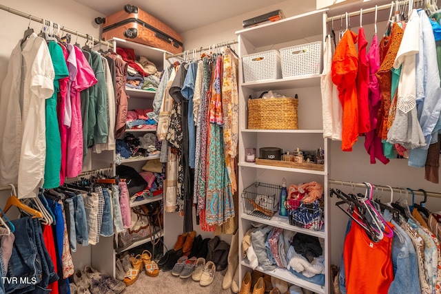 1318 E Lakeview Dr, Johnson City, TN 37601 - view of walk in closet