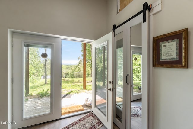 2087 Fodderstack Mountain Loop, Greeneville, TN 37745 - doorway with plenty of natural light, a barn door, wood finished floors, and french doors