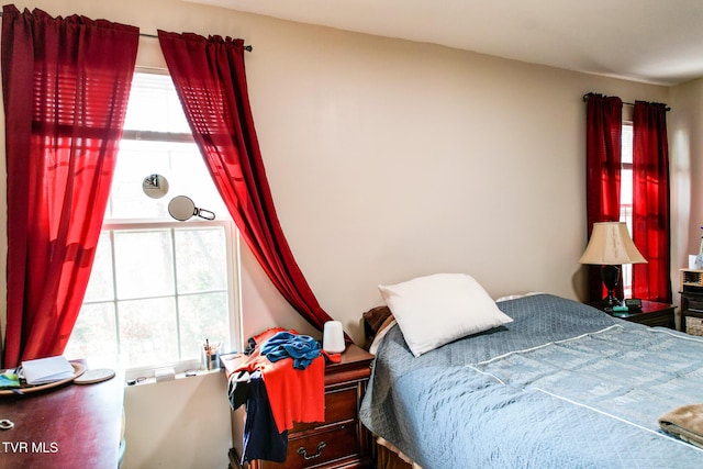 2087 Fodderstack Mountain Loop, Greeneville, TN 37745 - bedroom with multiple windows
