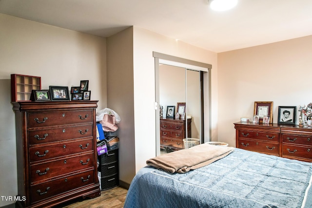 2087 Fodderstack Mountain Loop, Greeneville, TN 37745 - bedroom featuring wood finished floors and a closet