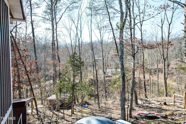 2087 Fodderstack Mountain Loop, Greeneville, TN 37745 - exterior space