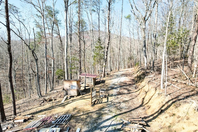 2087 Fodderstack Mountain Loop, Greeneville, TN 37745 - view of road