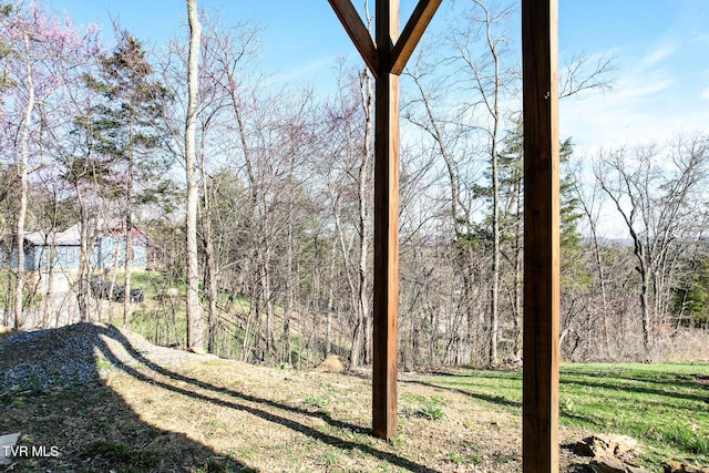 2087 Fodderstack Mountain Loop, Greeneville, TN 37745 - view of grassy yard