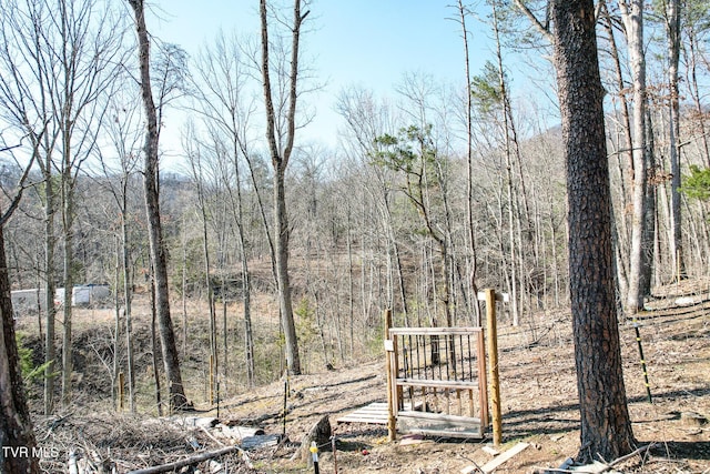 2087 Fodderstack Mountain Loop, Greeneville, TN 37745 - view of yard