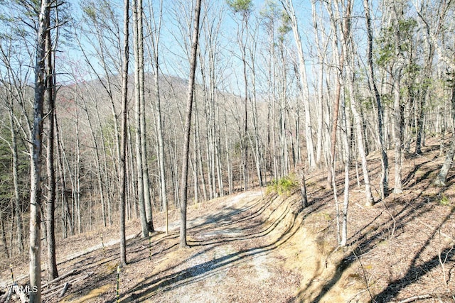 2087 Fodderstack Mountain Loop, Greeneville, TN 37745 - view of tree filled area