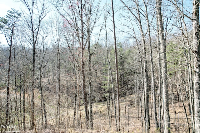 2087 Fodderstack Mountain Loop, Greeneville, TN 37745 - view of wooded area