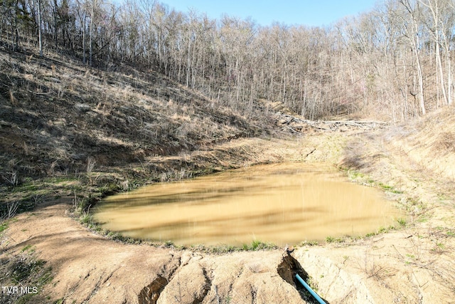 2087 Fodderstack Mountain Loop, Greeneville, TN 37745 - water view featuring a forest