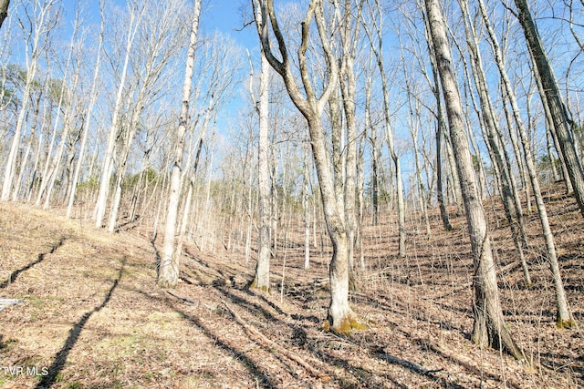 2087 Fodderstack Mountain Loop, Greeneville, TN 37745 - view of undeveloped land