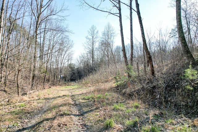 2087 Fodderstack Mountain Loop, Greeneville, TN 37745 - view of wooded area
