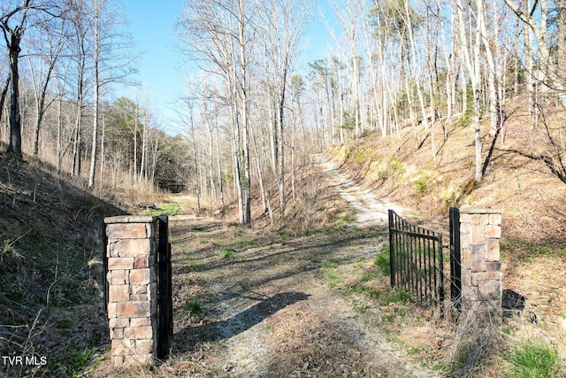 2087 Fodderstack Mountain Loop, Greeneville, TN 37745 - view of gate