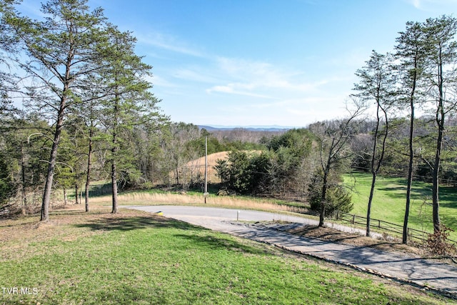 2087 Fodderstack Mountain Loop, Greeneville, TN 37745 - view of yard with asphalt driveway