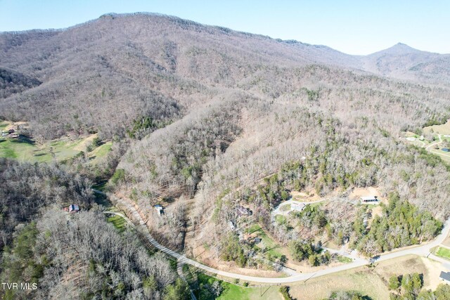 2087 Fodderstack Mountain Loop, Greeneville, TN 37745 - view of mountain backdrop