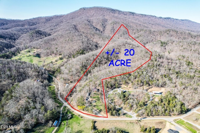 2087 Fodderstack Mountain Loop, Greeneville, TN 37745 - aerial view of property's location with property boundaries highlighted and a mountainous background