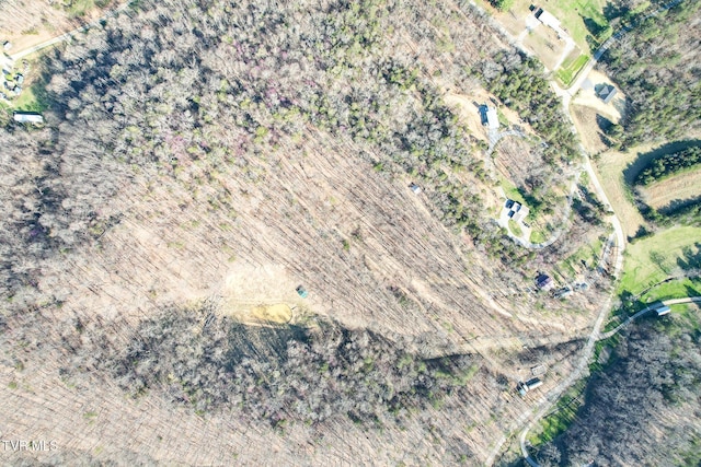 2087 Fodderstack Mountain Loop, Greeneville, TN 37745 - aerial view of property and surrounding area