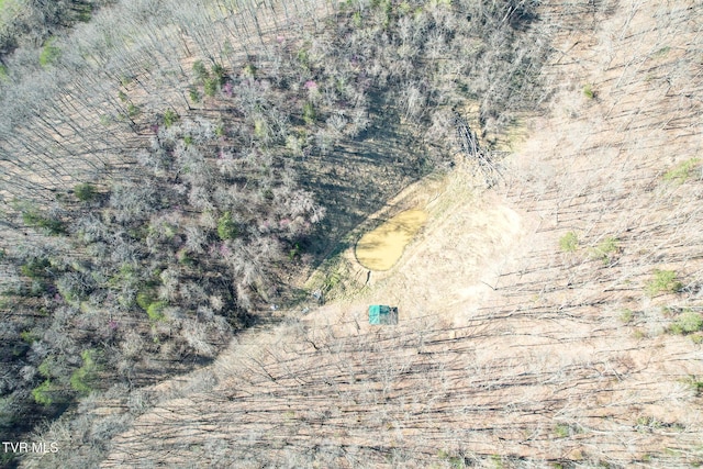 2087 Fodderstack Mountain Loop, Greeneville, TN 37745 - aerial overview of property's location