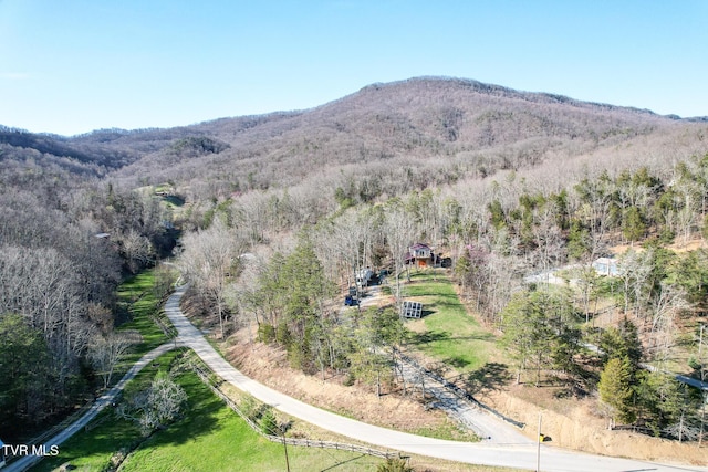 2087 Fodderstack Mountain Loop, Greeneville, TN 37745 - view of mountain backdrop featuring a heavily wooded area