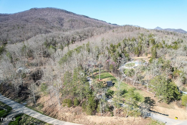 2087 Fodderstack Mountain Loop, Greeneville, TN 37745 - view of mountain backdrop featuring a forest