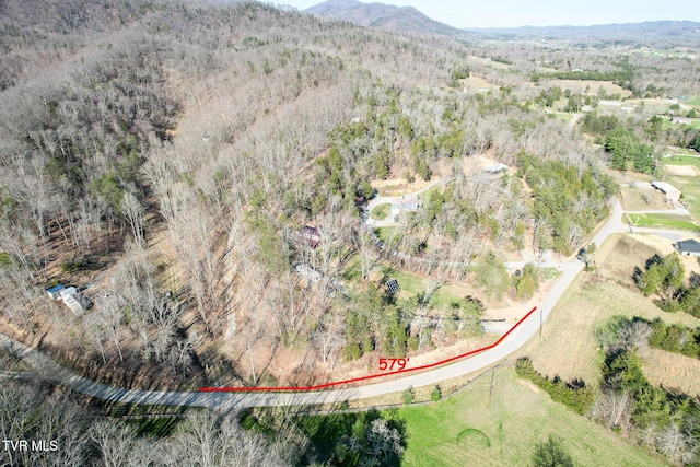 2087 Fodderstack Mountain Loop, Greeneville, TN 37745 - aerial view of property and surrounding area featuring property boundaries highlighted and a mountain backdrop