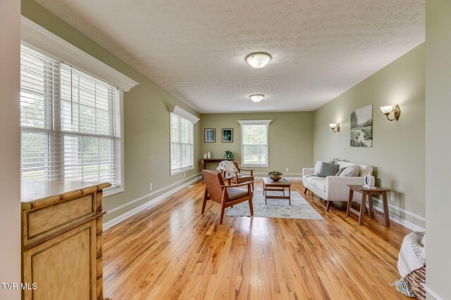 516 Bowmantown Rd, Telford, TN 37690 - living area with light wood-style floors, a textured ceiling, and baseboards