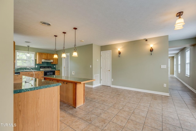 516 Bowmantown Rd, Telford, TN 37690 - kitchen featuring electric range, a kitchen island, baseboards, a sink, and under cabinet range hood