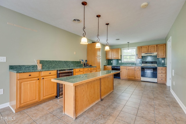 516 Bowmantown Rd, Telford, TN 37690 - kitchen featuring electric stove, beverage cooler, under cabinet range hood, dishwasher, and a sink