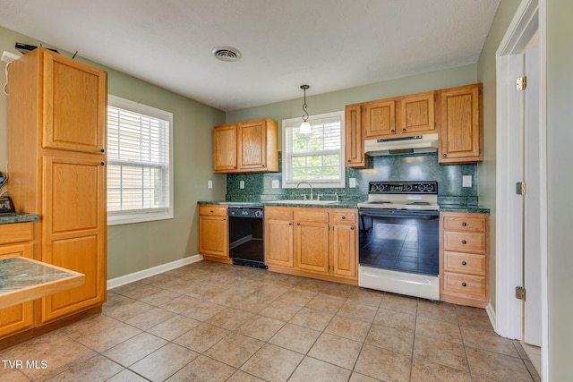 516 Bowmantown Rd, Telford, TN 37690 - kitchen with electric range, dishwasher, under cabinet range hood, a sink, and backsplash