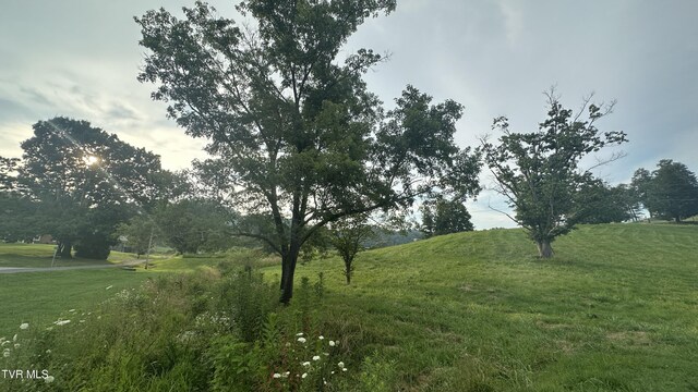 202 Eidson Ln, Rogersville, TN 37857 - photo 8