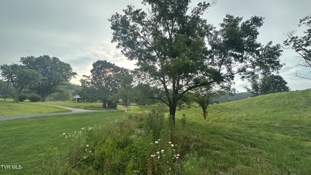 202 Eidson Ln, Rogersville, TN 37857 - photo 9