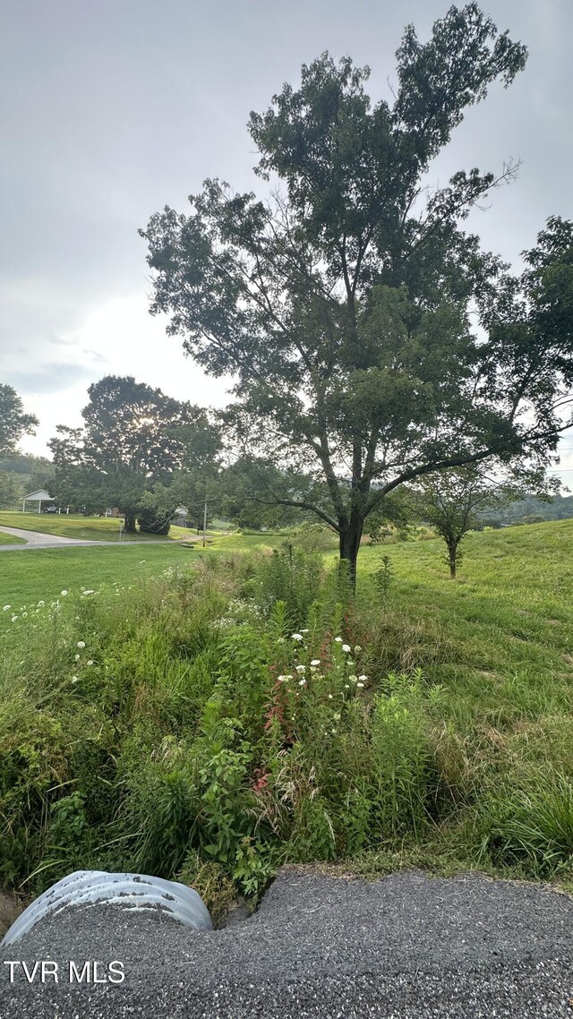 202 Eidson Ln, Rogersville, TN 37857 - photo 10