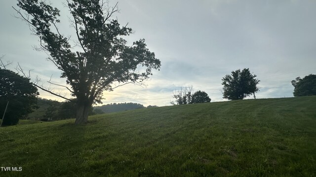 202 Eidson Ln, Rogersville, TN 37857 - photo 12