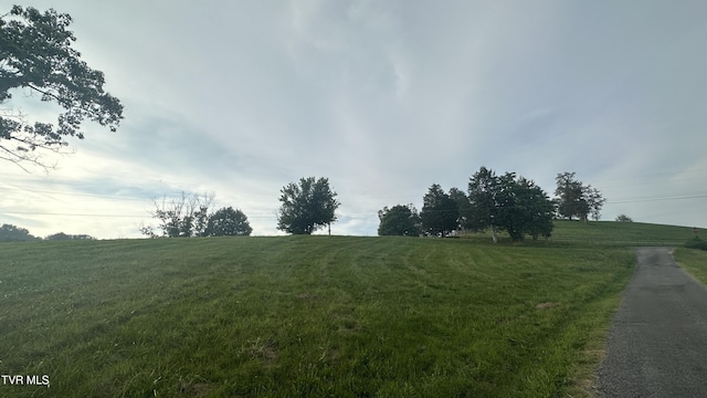 202 Eidson Ln, Rogersville, TN 37857 - photo 13