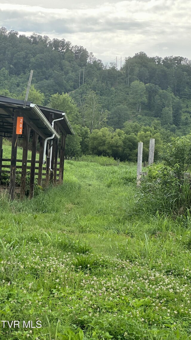 202 Eidson Ln, Rogersville, TN 37857 - photo 25