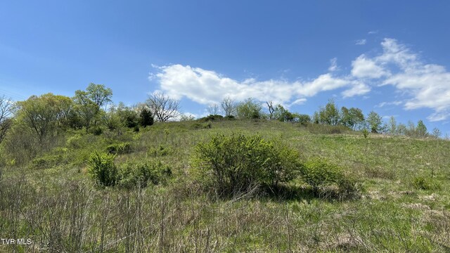202 Eidson Ln, Rogersville, TN 37857 - photo 73