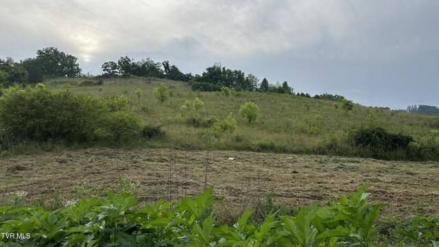 202 Eidson Ln, Rogersville, TN 37857 - photo 91