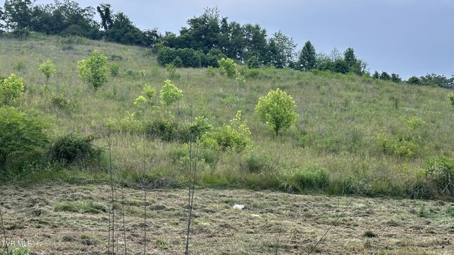 202 Eidson Ln, Rogersville, TN 37857 - photo 92
