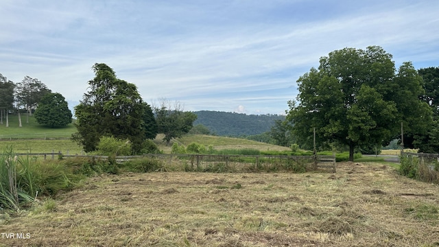 202 Eidson Ln, Rogersville, TN 37857 - photo 98